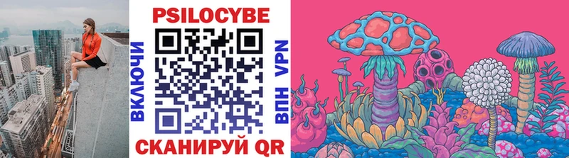 дарнет шоп  Тавда  MEGA   Псилоцибиновые грибы Psilocybine cubensis 